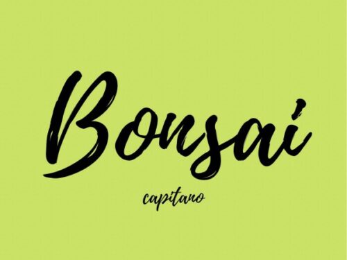 Bonsai